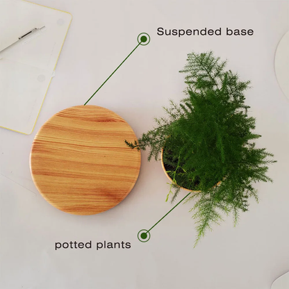 Magnetic Floating Levitating Plant Pot