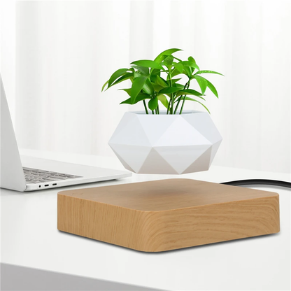 Magnetic Floating Levitating Plant Pot