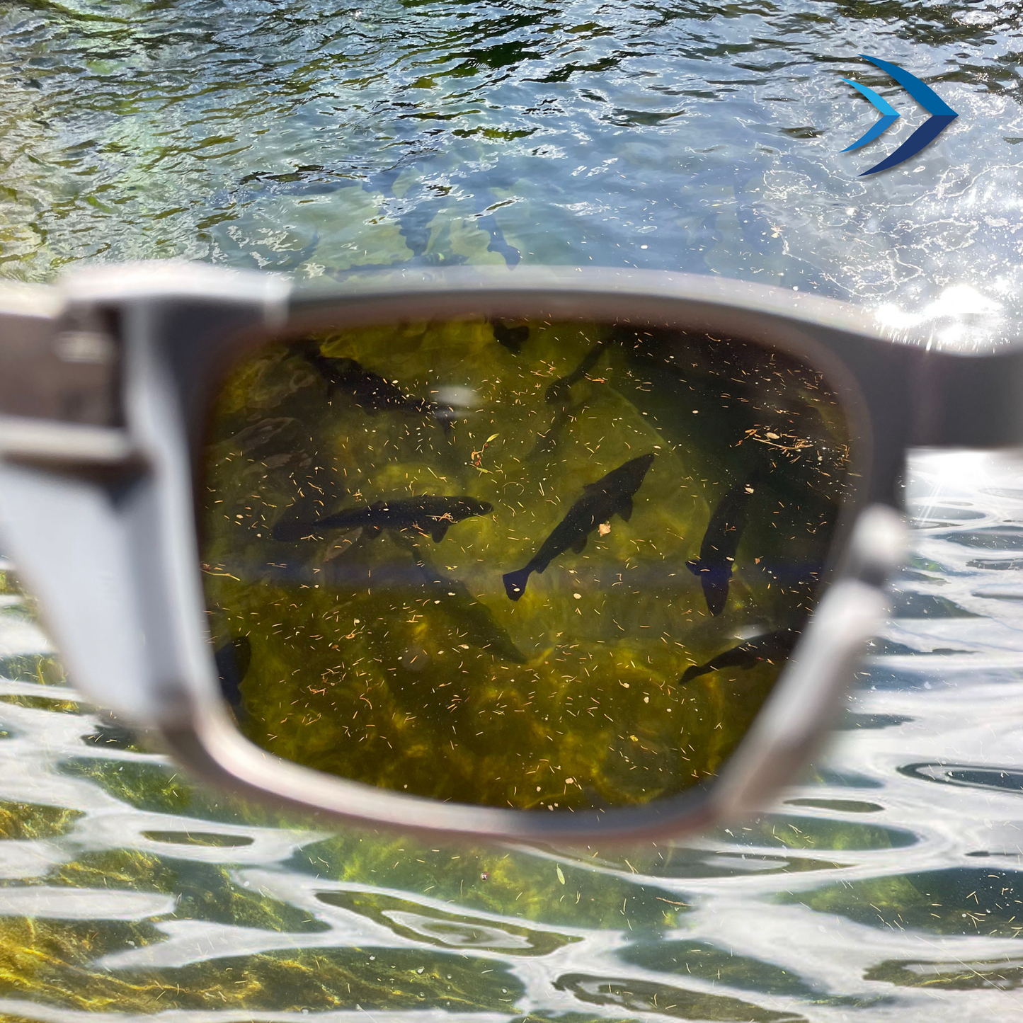 Polycarbonate Sport Fishing Sunglasses