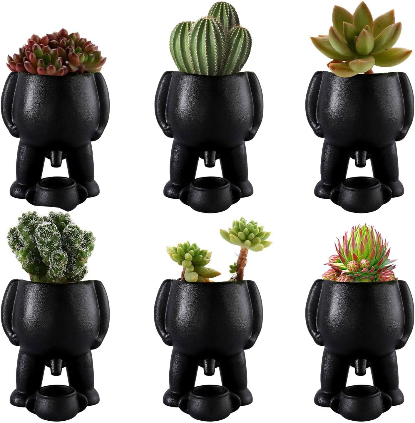 Whimsical Garden Gnome Figurine