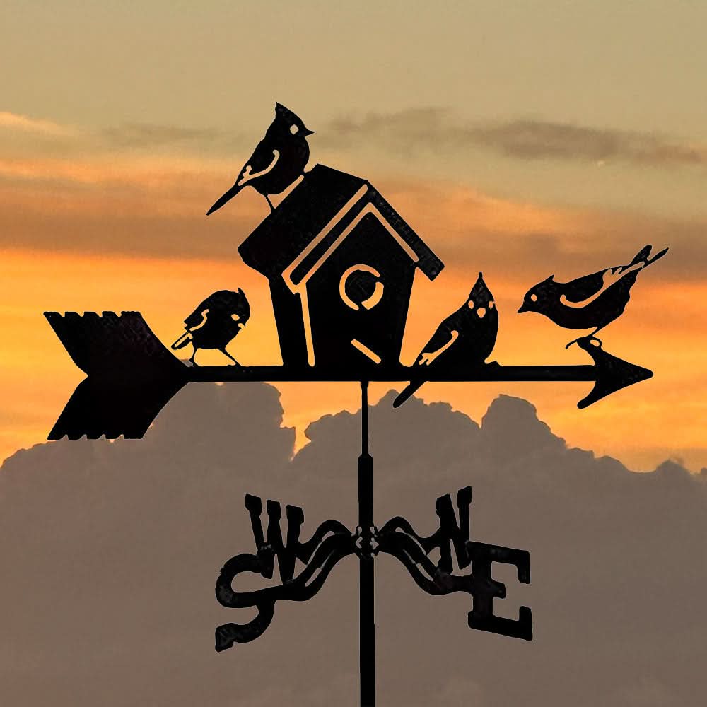 Birdhouse Garden Silhouette Stainless Steel Weathervane