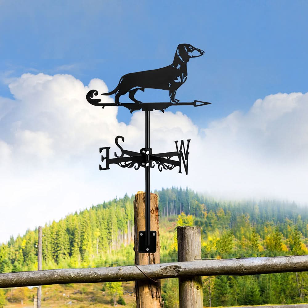 Dachshund Dog Stainless Steel Weathervane