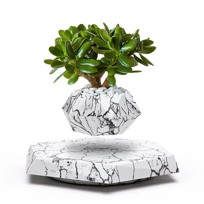 Magnetic Floating Levitating Plant Pot