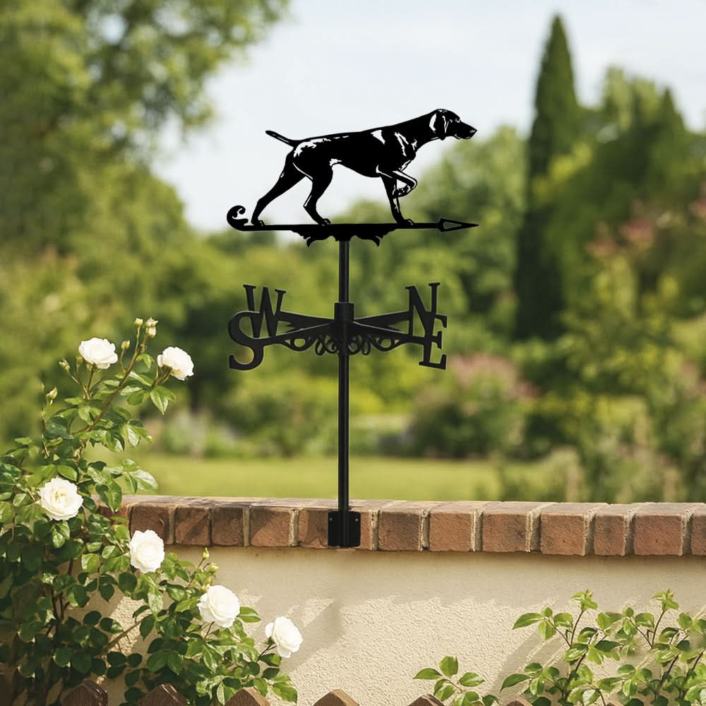 Whippet Dog Silhouette Stainless Steel Weathervane