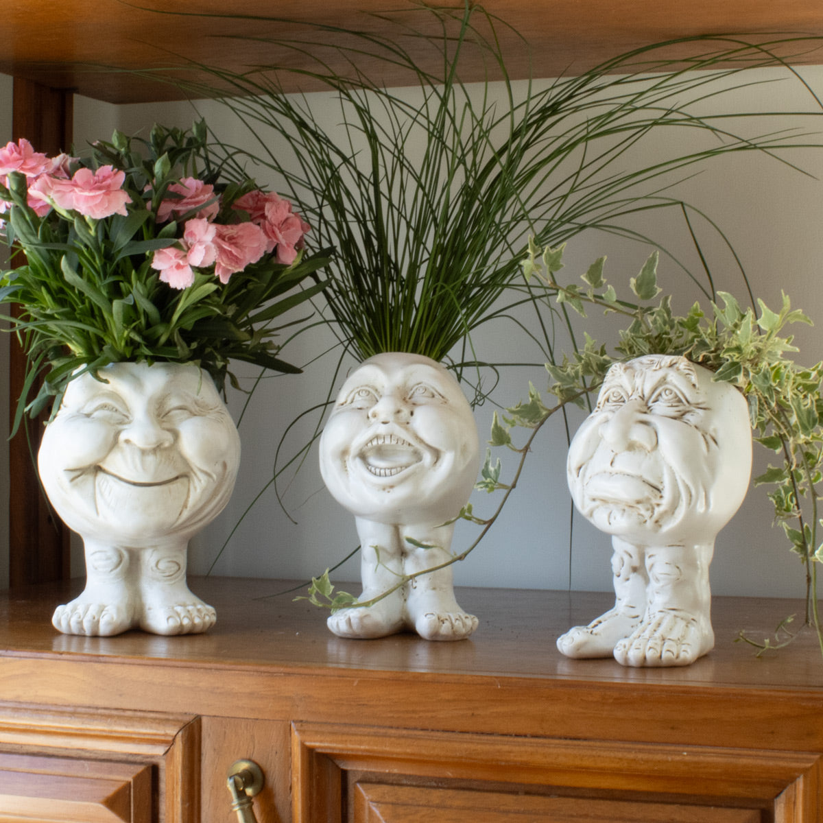 Cartoon Character Plant Pots