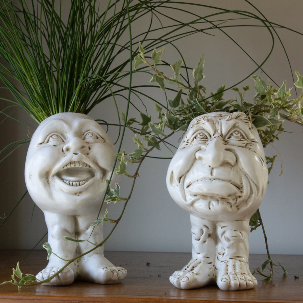 Cartoon Character Plant Pots