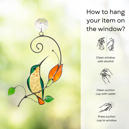 Stained glass hummingbird suncatcher hanging on the window with hanging instruction beside: clean window and suction cup, press a cup to the surface.