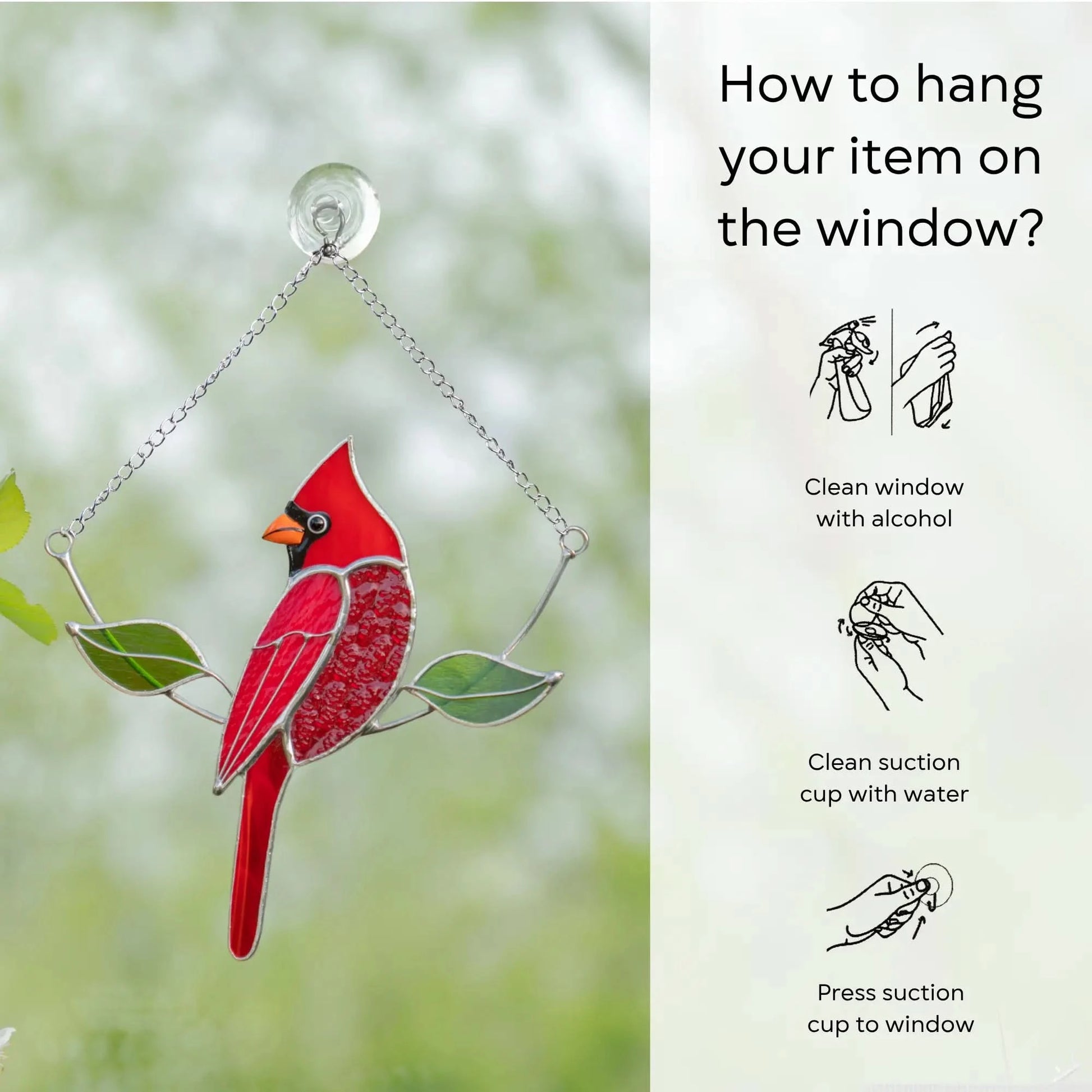 Window-mounted cardinal suncatcher with chain and suction cup, shown with hanging instructions: clean window and suction cup, press a cup to the surface