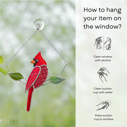 Window-mounted cardinal suncatcher with chain and suction cup, shown with hanging instructions: clean window and suction cup, press a cup to the surface