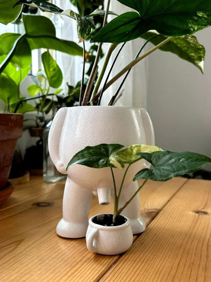 Whimsical Garden Gnome Figurine