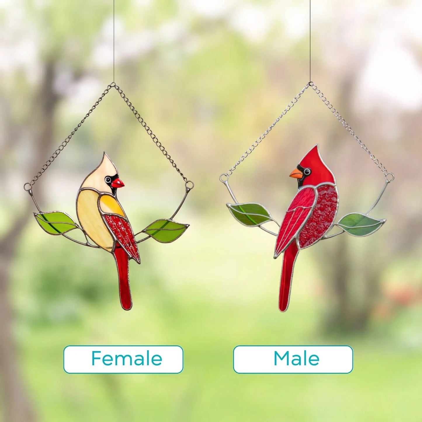 Two stained glass cardinals, one red male and one female beige, hanging side by side with green leaves