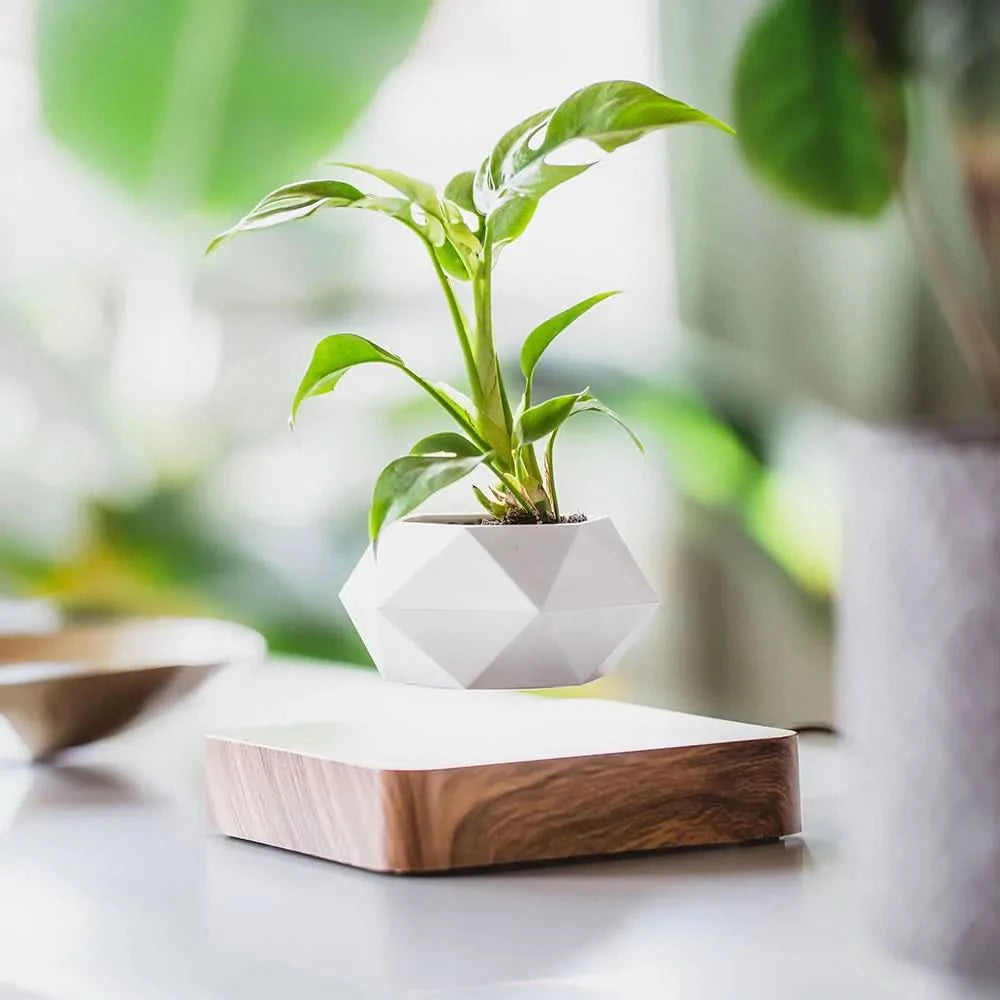 Magnetic Floating Levitating Plant Pot