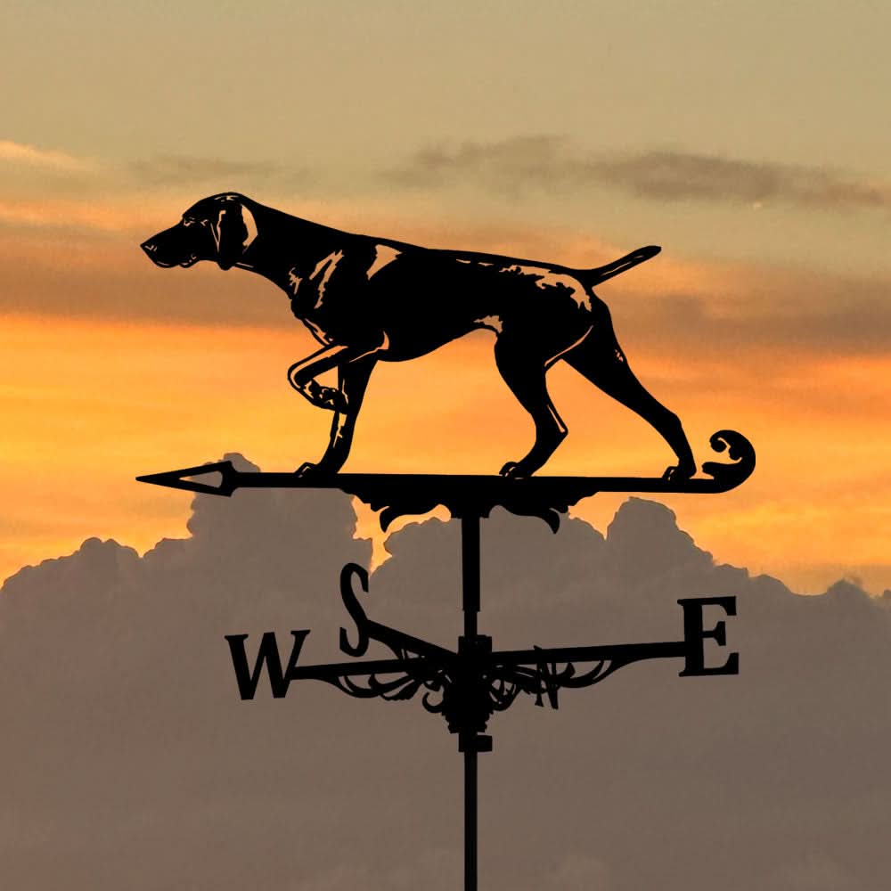 Whippet Dog Silhouette Stainless Steel Weathervane