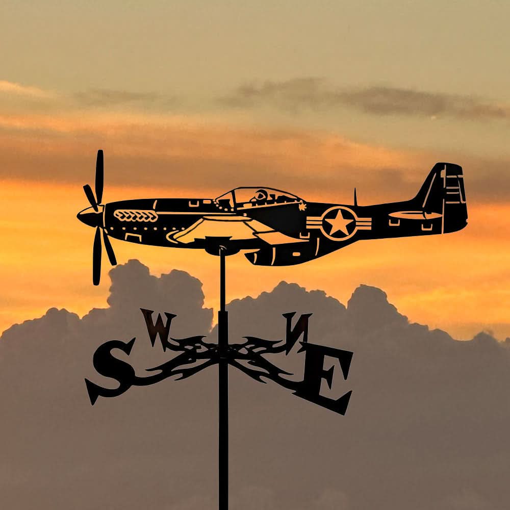 Aircraft Airplane Silhouette Stainless Steel Weathervane