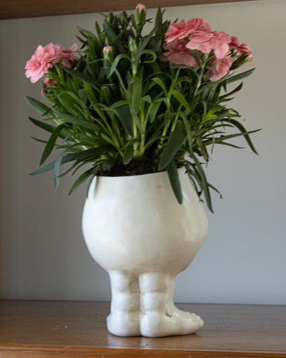 Cartoon Character Plant Pots