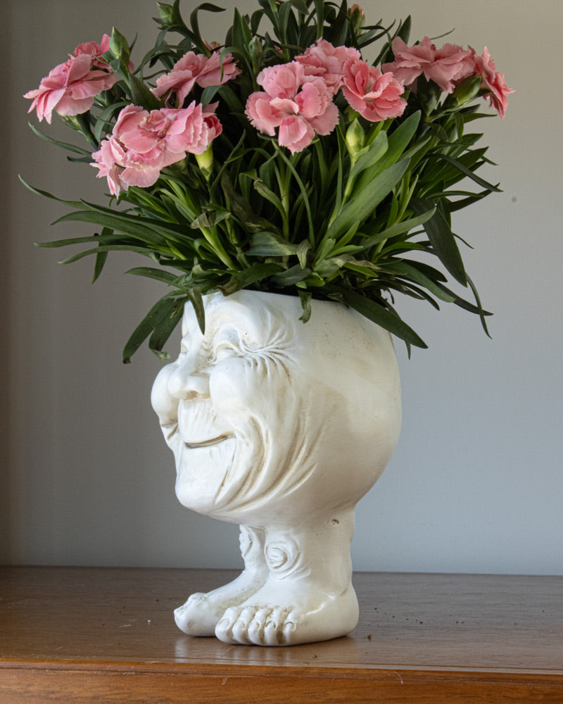 Cartoon Character Plant Pots