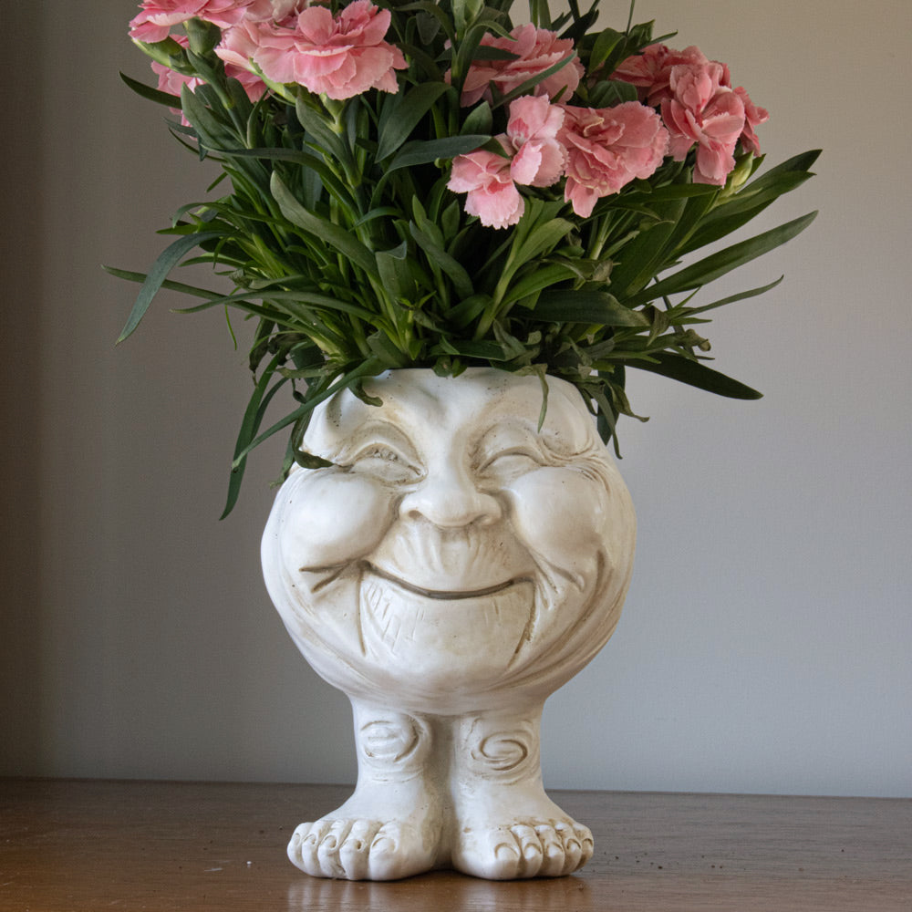 Cartoon Character Plant Pots