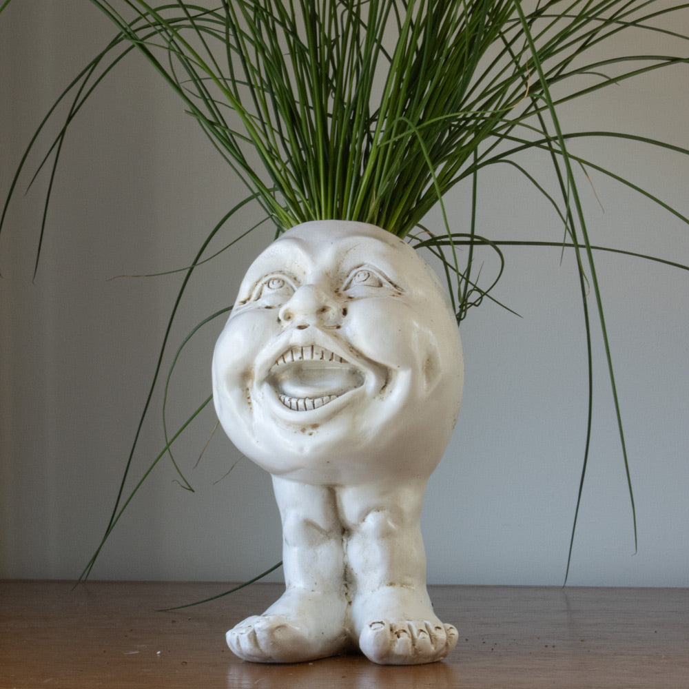 Cartoon Character Plant Pots