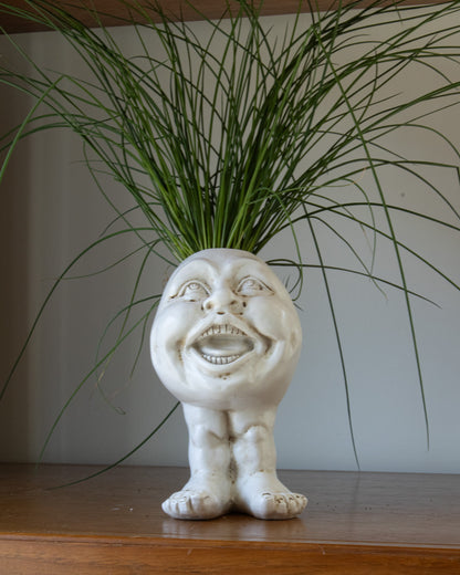 Cartoon Character Plant Pots