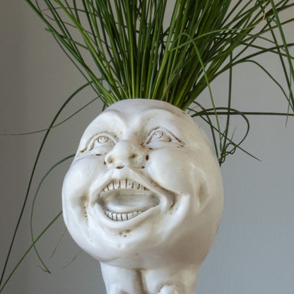 Cartoon Character Plant Pots