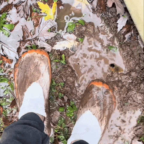 Leveline™ Barefoot Shoes That Let You Feel