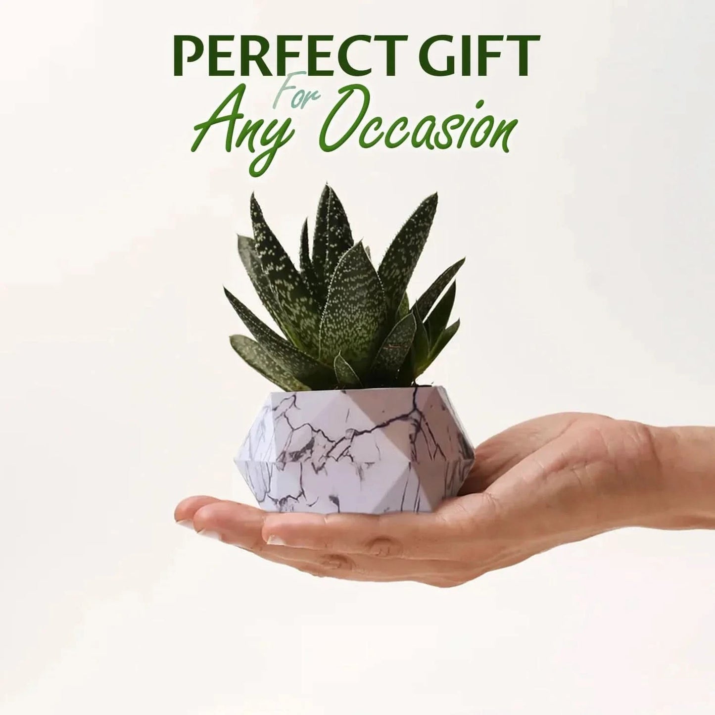 Magnetic Floating Levitating Plant Pot