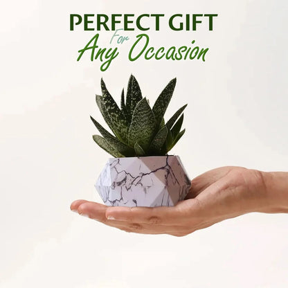 Magnetic Floating Levitating Plant Pot