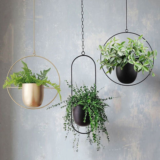 Metal Hanging Planter for Indoor Plants