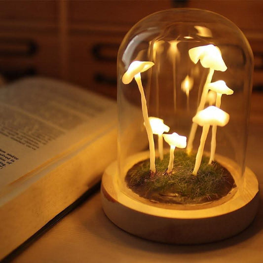 Magical Mushroom Lamp DIY Kit - Lily & Eden
